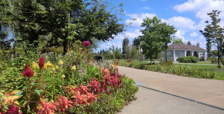 Colorful garden with blooming flowers and lush trees on a sunny day, perfect for outdoor relaxation and scenic walks.