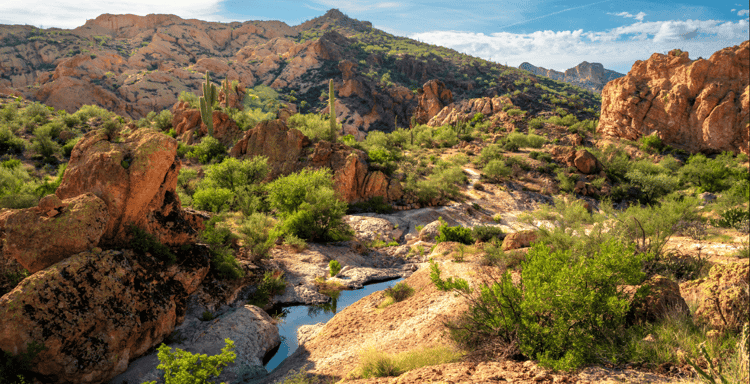 Bulldog Canyon Off-Road Adventure Tour