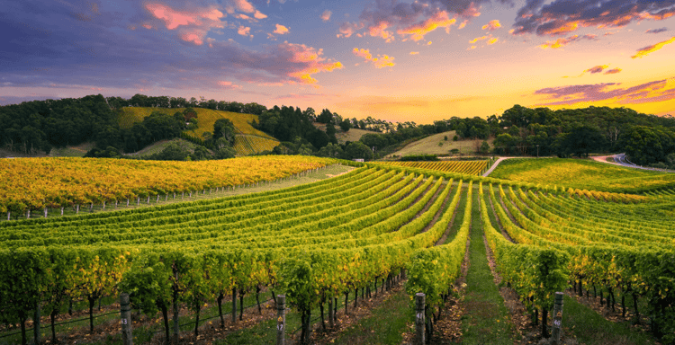 Martha's Vineyard Daytrip from Boston