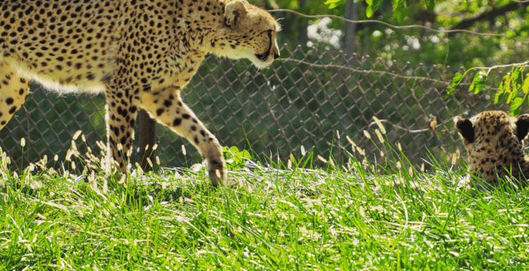 Henry Doorly Zoo and Aquarium