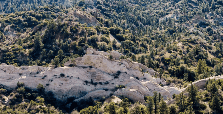 Angeles National Forest
