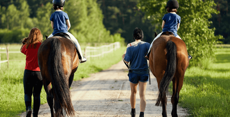 Hilltop Riding Stable