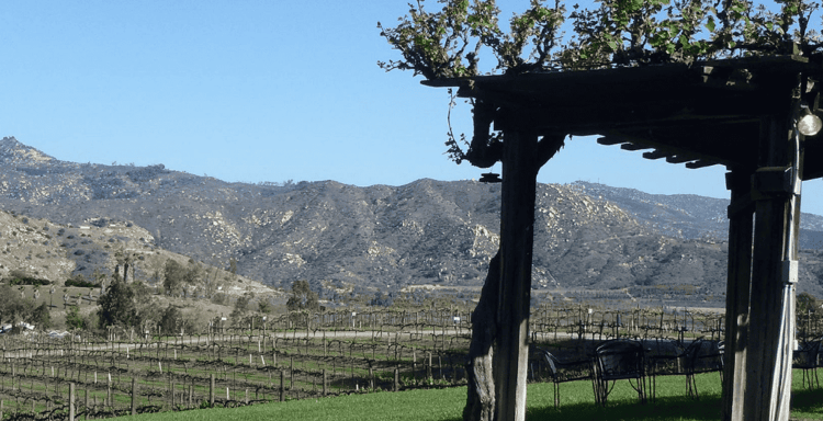 Orfila Vineyards & Winery