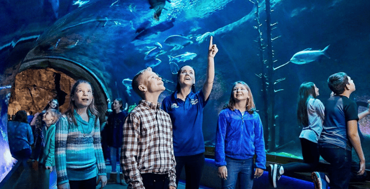 Wonders of Wildlife National Museum & Aquarium