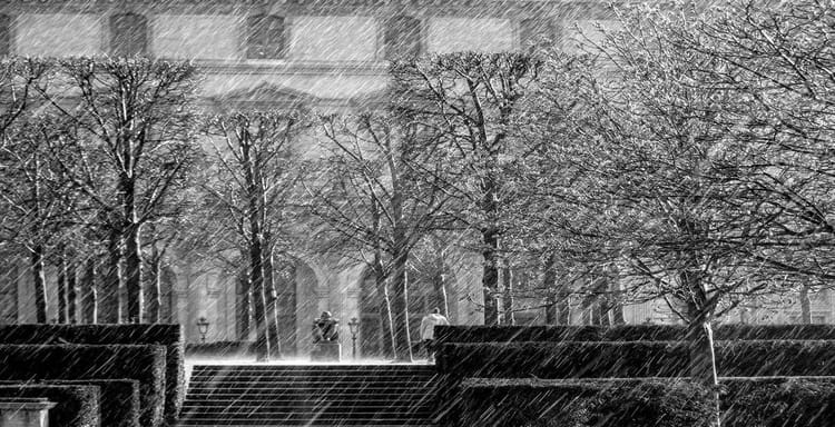 Snowy city park with trees and bench during heavy snowfall, winter scene for outdoor activity and urban nature exploration.