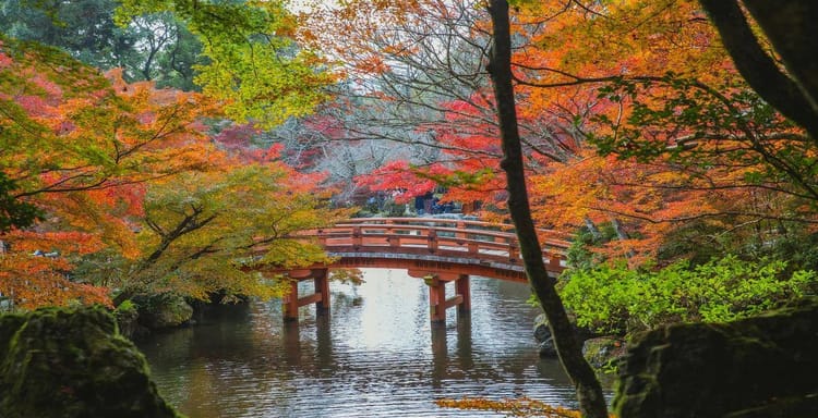 Vibrant autumn foliage surrounding a traditional Japanese red bridge over a tranquil river.