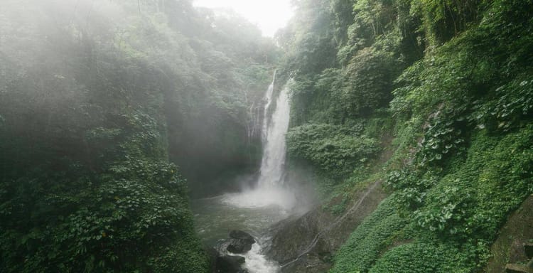 Serene waterfall surrounded by lush green forest in a tropical jungle setting.