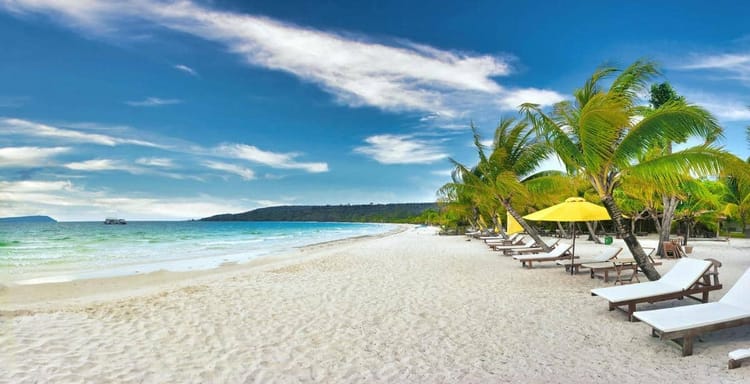 Tropical beach with palm trees, sun loungers, and clear ocean waters, perfect for relaxing vacations.