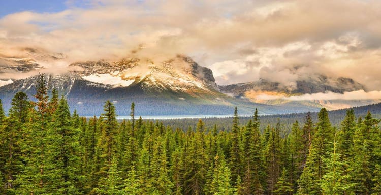 Majestic mountain landscape with lush pine forest and cloudy sky, ideal for outdoor adventure and travel guides.