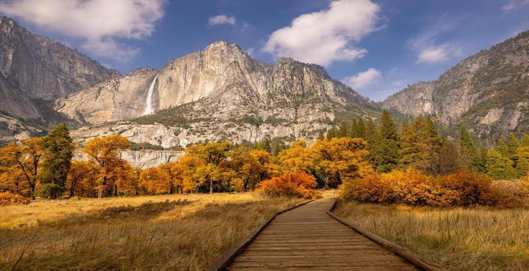 Vibrant autumn foliage with mountain scenery and wooden trail in national park.