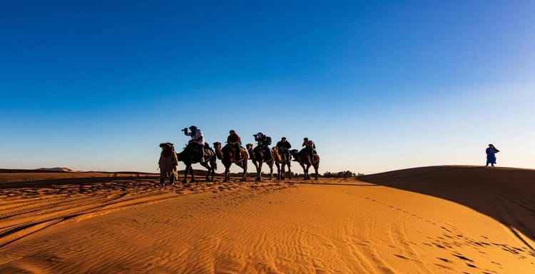 Camel caravan crossing desert dunes at sunset, adventure travel with guided desert tours.