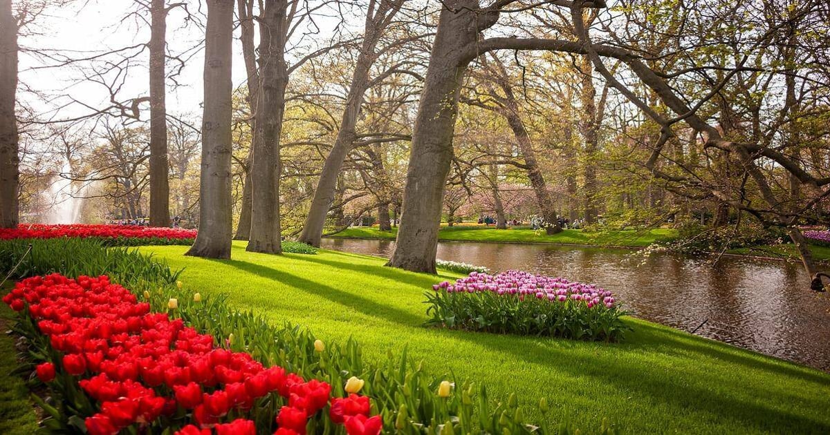 Colorful tulip garden by a pond in spring, scenic peaceful outdoor park, nature landscape, QuestForDirections.