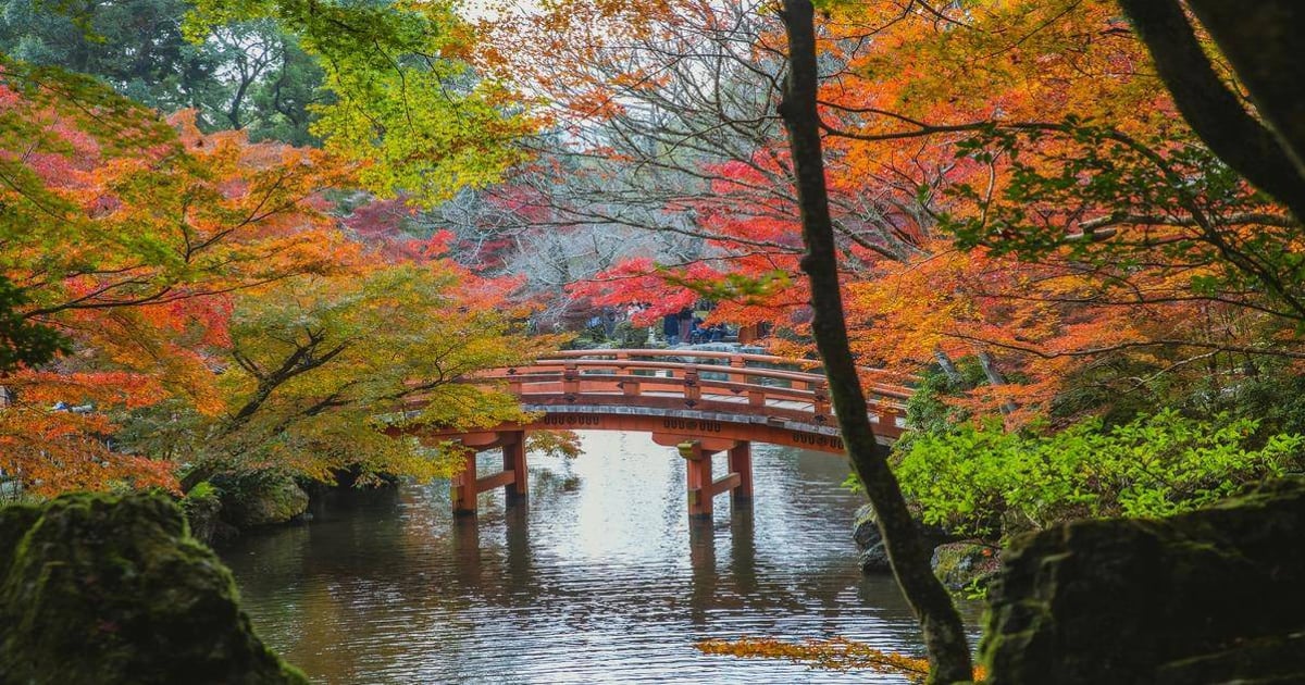 Vibrant autumn foliage surrounding a traditional Japanese red bridge over a tranquil river.