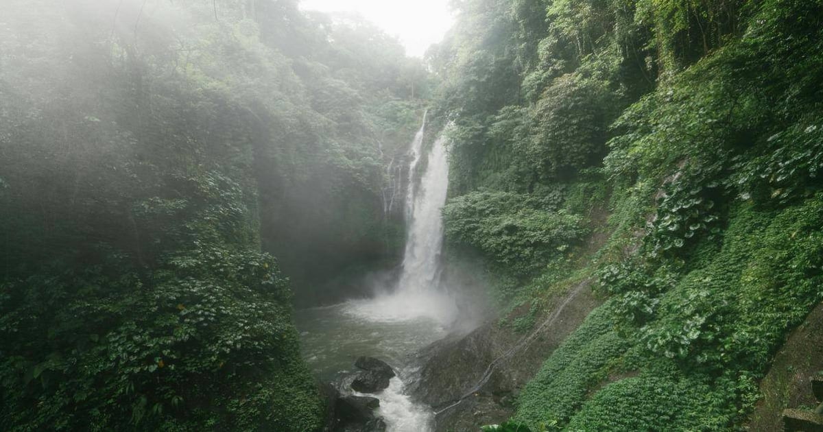 Serene waterfall surrounded by lush green forest in a tropical jungle setting.