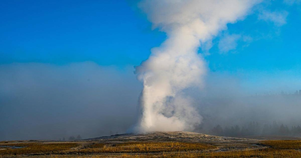 Steam erupting from geyser in national park, geothermal activity, natural hot spring, Yellowstone volcanic site, outdoor adventure.