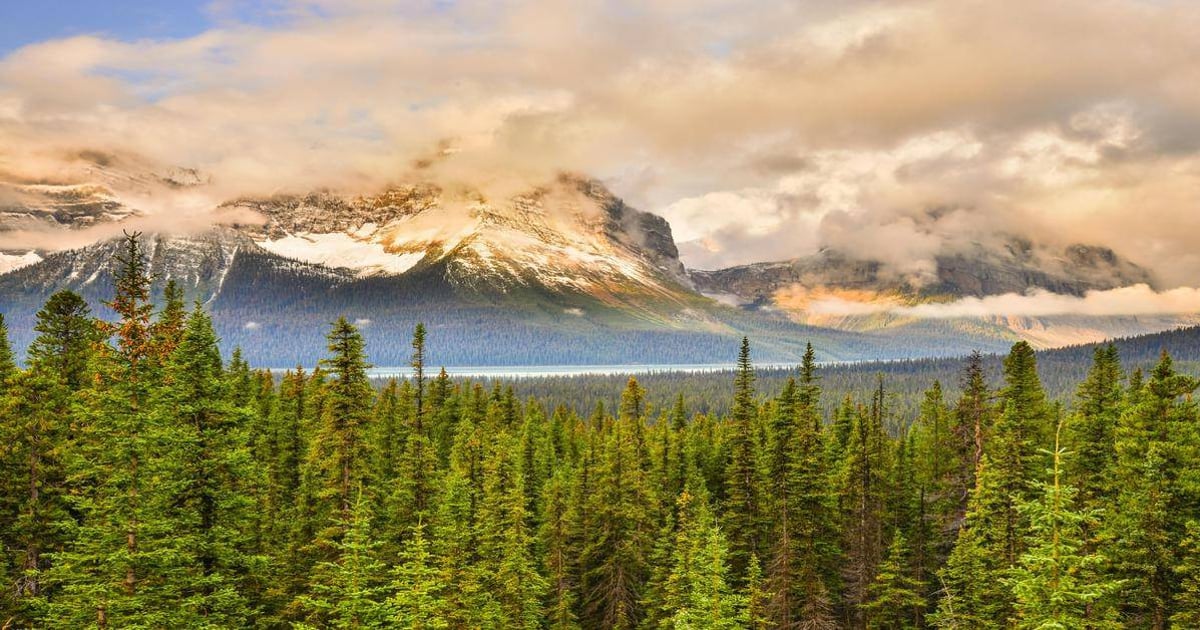 Majestic mountain landscape with lush pine forest and cloudy sky, ideal for outdoor adventure and travel guides.