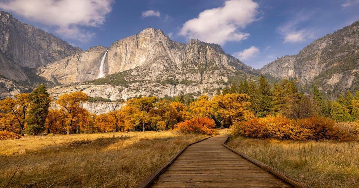 Vibrant autumn foliage with mountain scenery and wooden trail in national park.