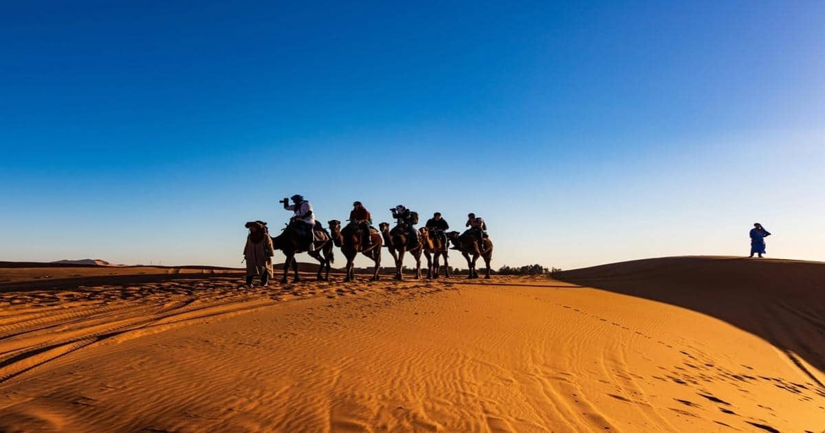 Camel caravan crossing desert dunes at sunset, adventure travel with guided desert tours.